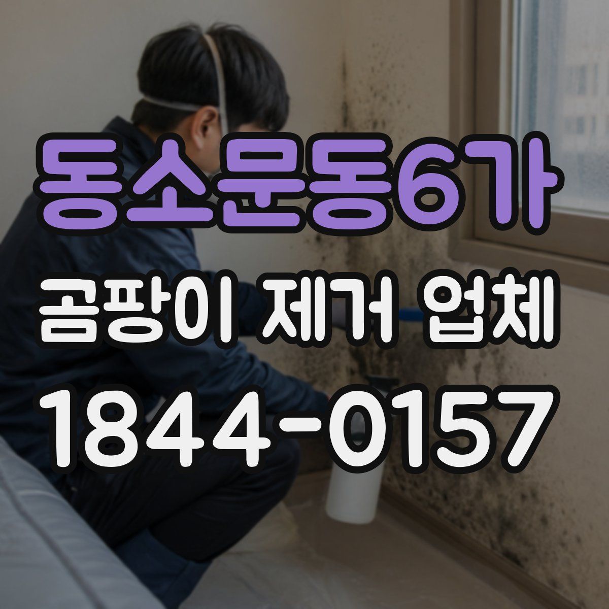 동소문동6가 곰팡이 제거 업체