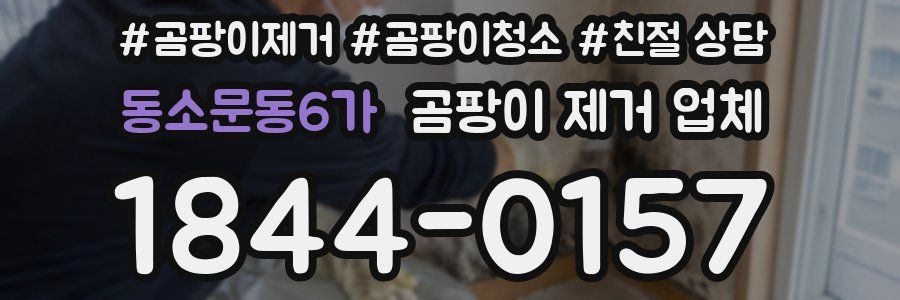동소문동6가 곰팡이 제거 업체