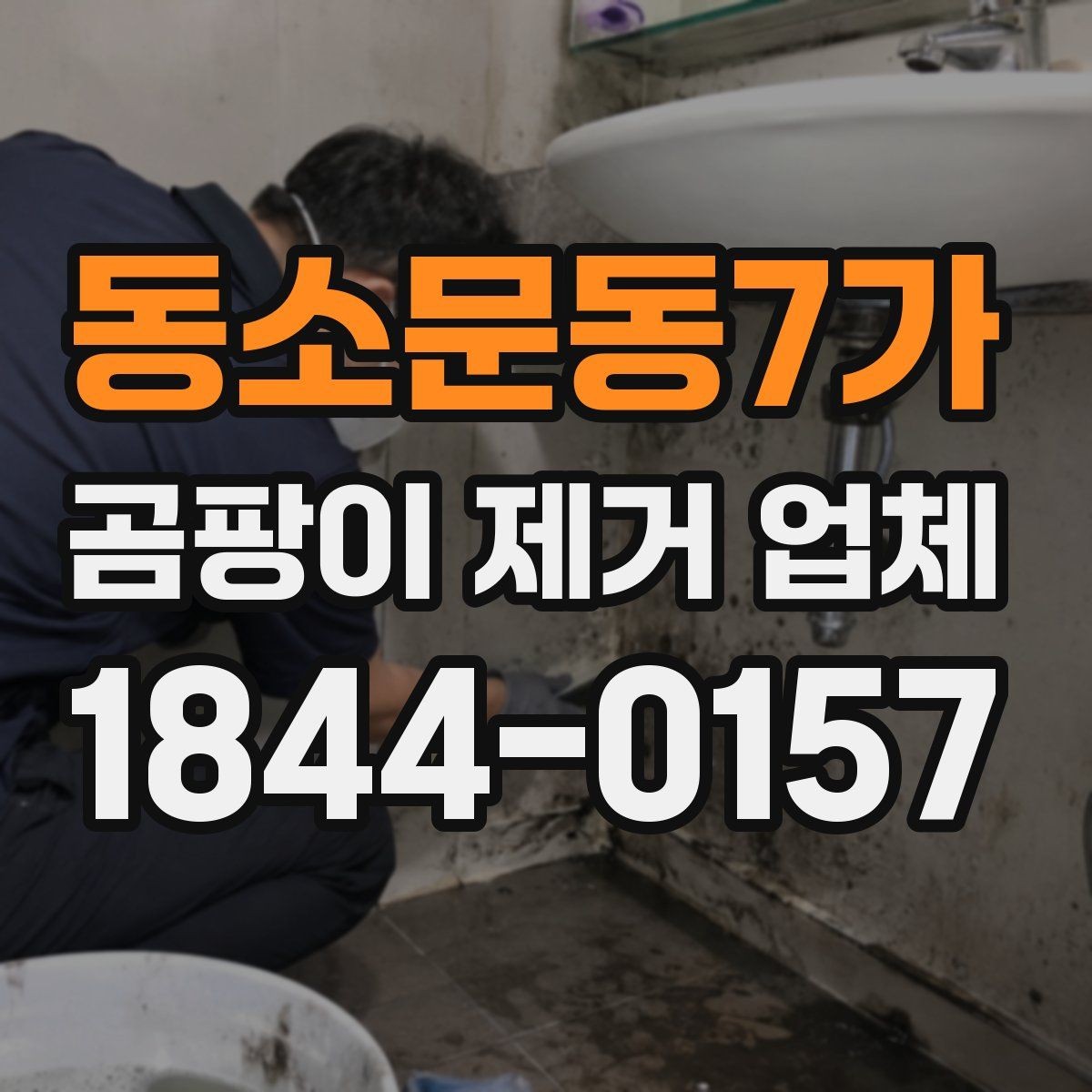 동소문동7가 곰팡이 제거 업체 작업 후 재발 예방을 위한 방법