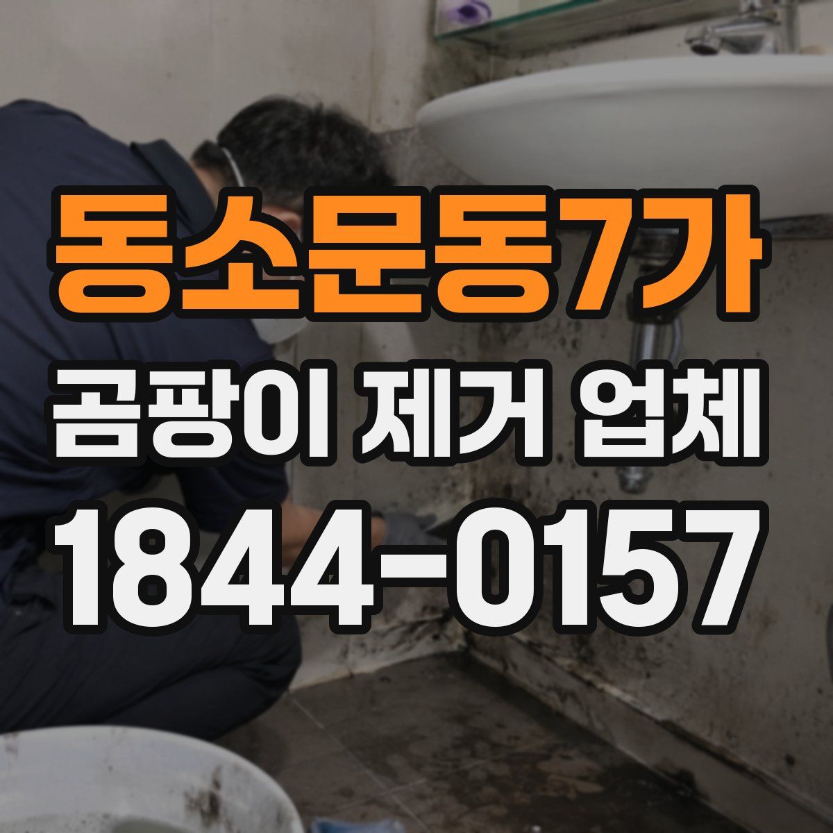 동소문동7가 곰팡이 제거 업체