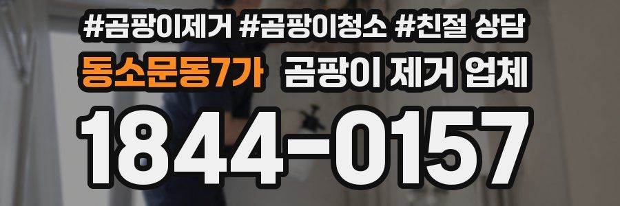 동소문동7가 곰팡이 제거 업체