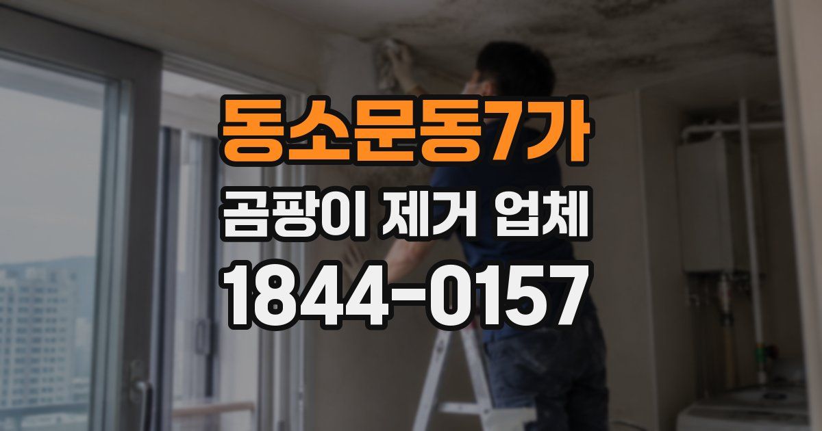동소문동7가 곰팡이 제거 업체