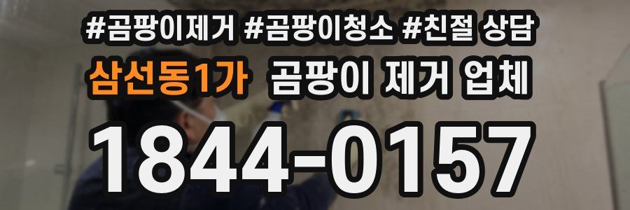 삼선동1가 곰팡이 제거 업체