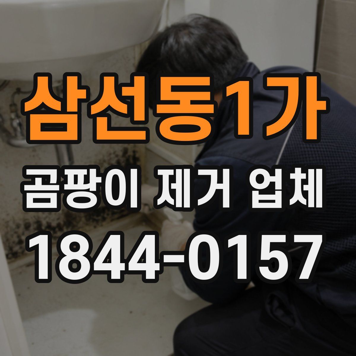 삼선동1가 곰팡이 제거 업체