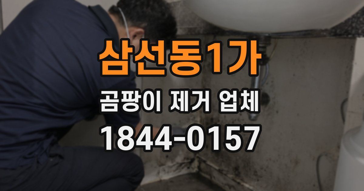 삼선동1가 곰팡이 제거 업체