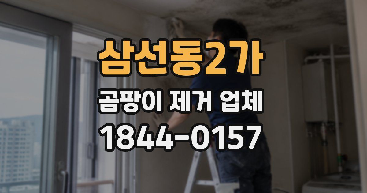 삼선동2가 곰팡이 제거 업체