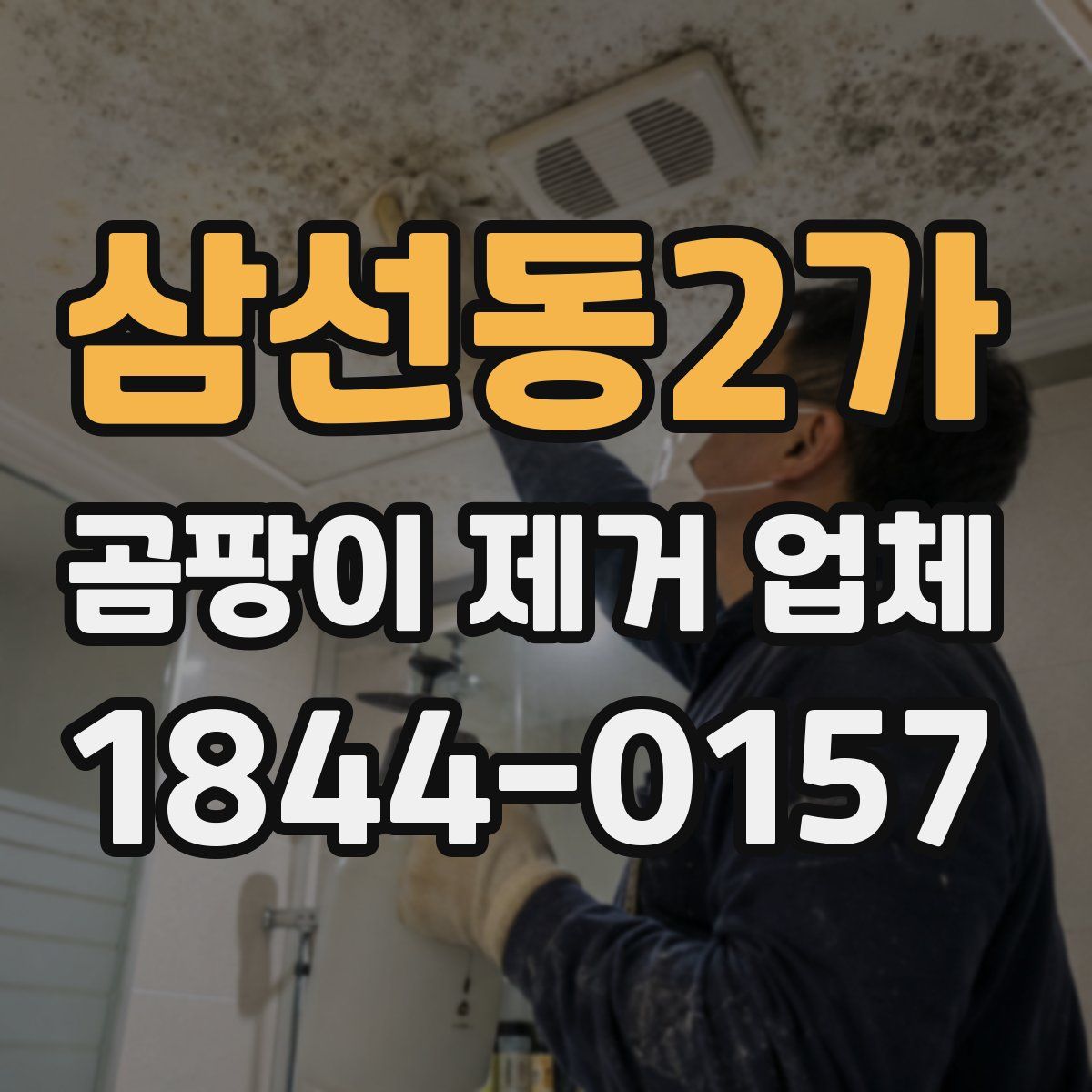 삼선동2가 곰팡이 제거 업체