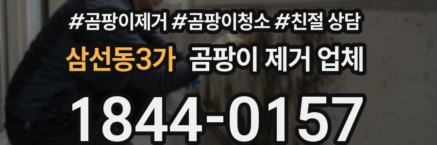 삼선동3가 곰팡이 제거 업체