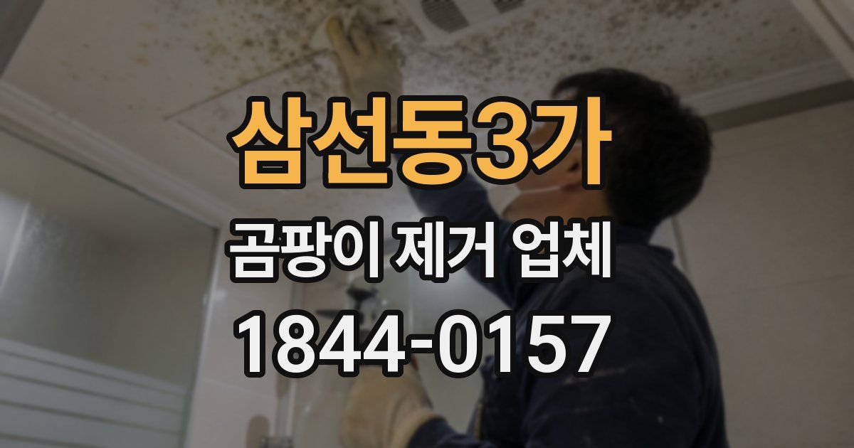 삼선동3가 곰팡이 제거 업체