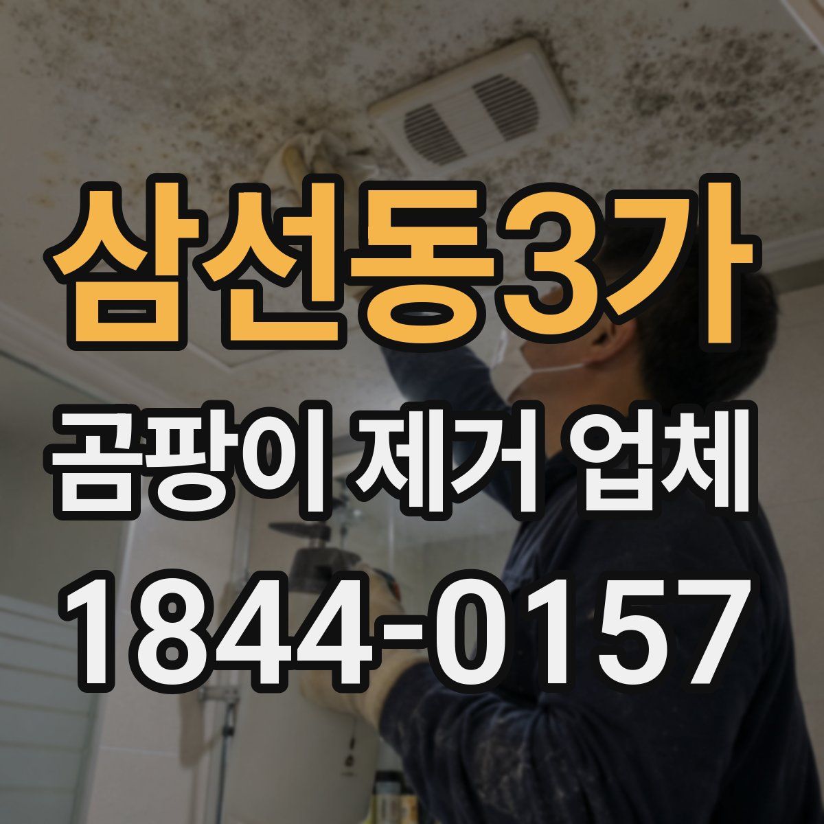 삼선동3가 곰팡이 제거 업체