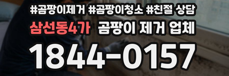 삼선동4가 곰팡이 제거 업체