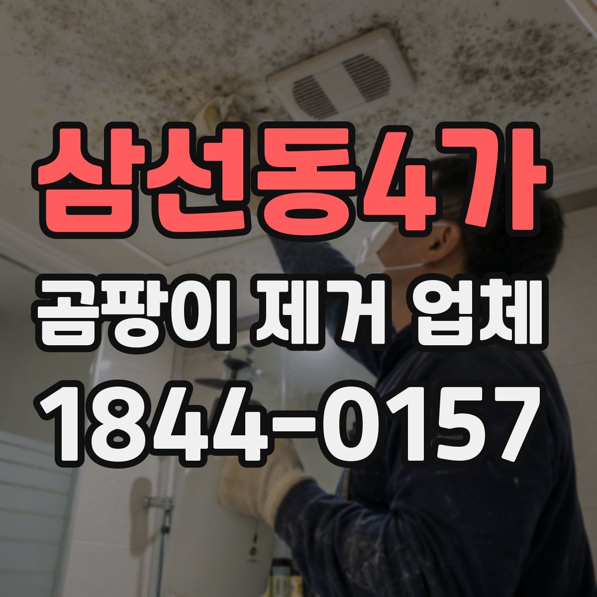삼선동4가 곰팡이 제거 업체
