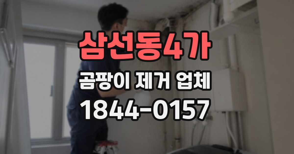 삼선동4가 곰팡이 제거 업체