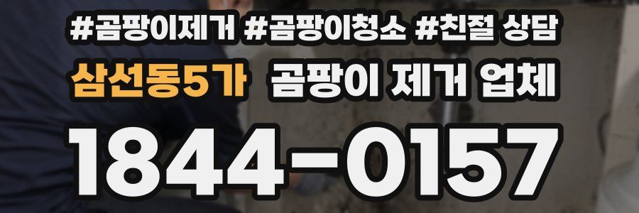 삼선동5가 곰팡이 제거 업체