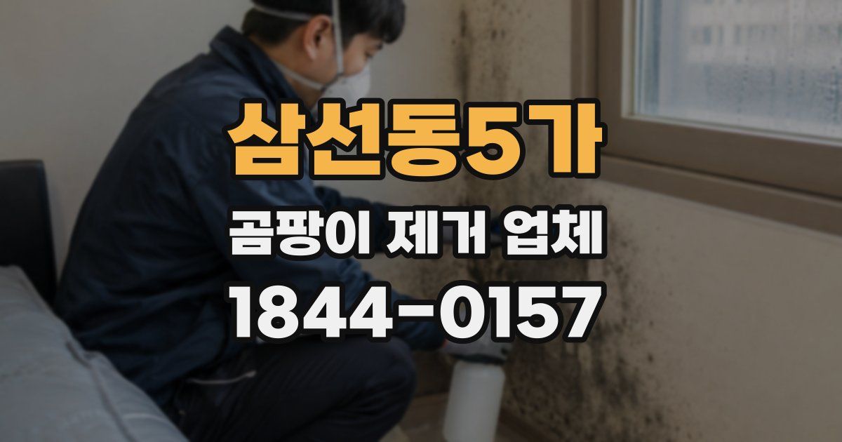 삼선동5가 곰팡이 제거 업체