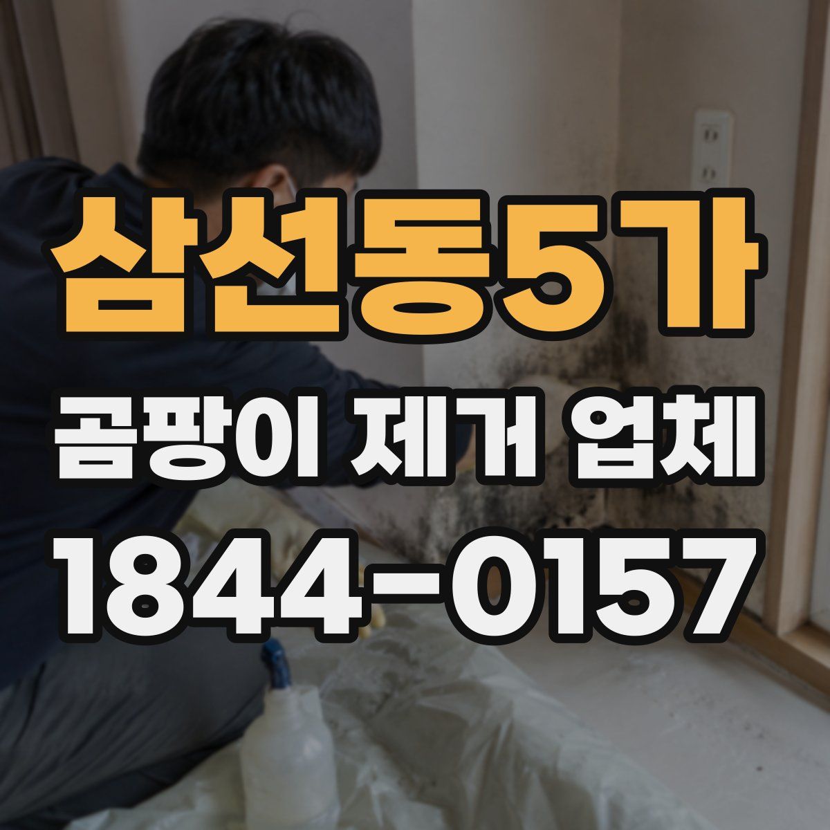 삼선동5가 곰팡이 제거 업체
