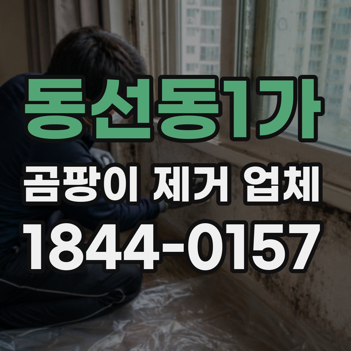동선동1가 곰팡이 제거 업체