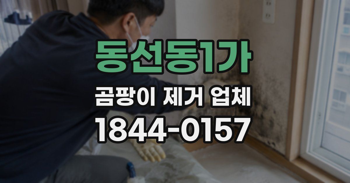 동선동1가 곰팡이 제거 업체