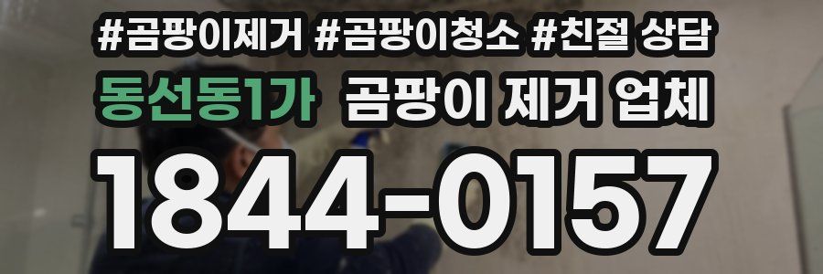 동선동1가 곰팡이 제거 업체