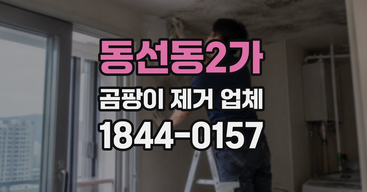 동선동2가 곰팡이 제거 업체