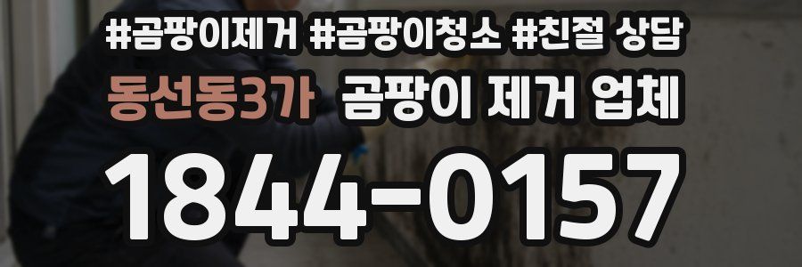 동선동3가 곰팡이 제거 업체