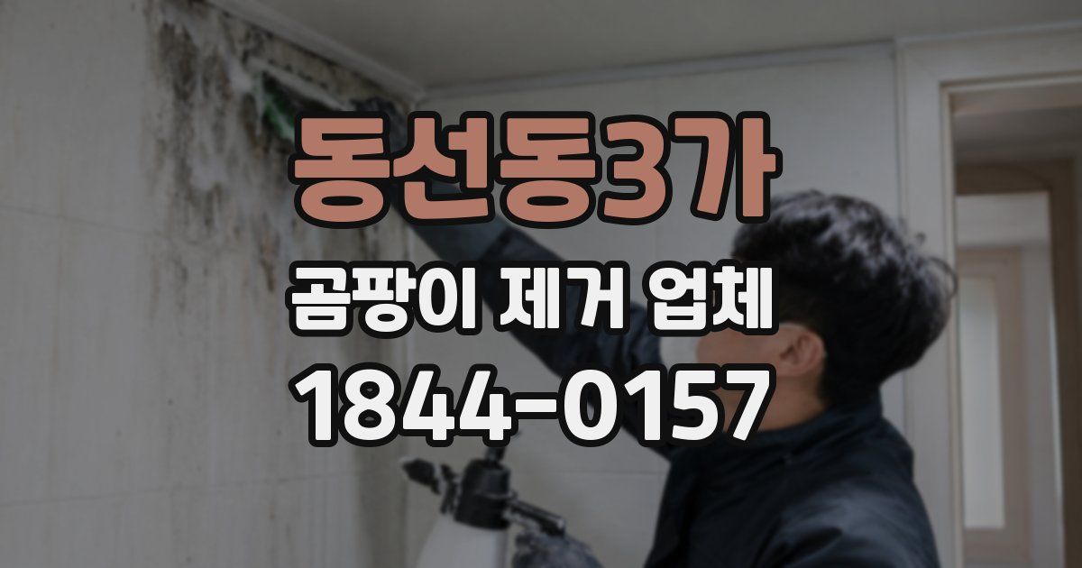 동선동3가 곰팡이 제거 업체