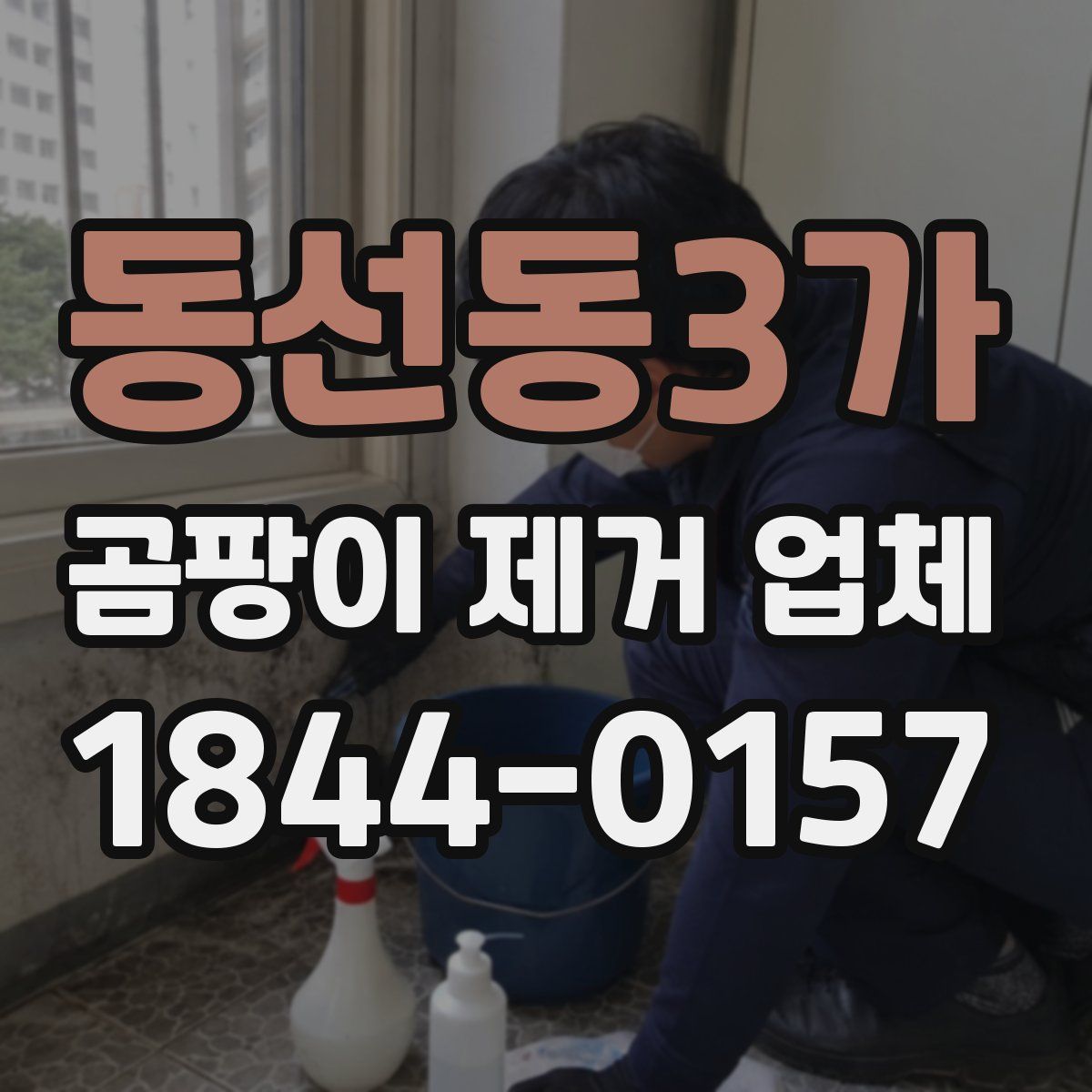 동선동3가 곰팡이 제거 업체
