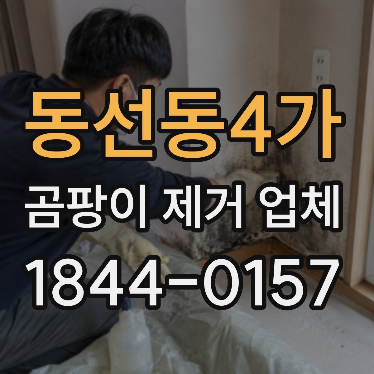 동선동4가 곰팡이 제거 업체 진행 사례로 보는 처리 과정
