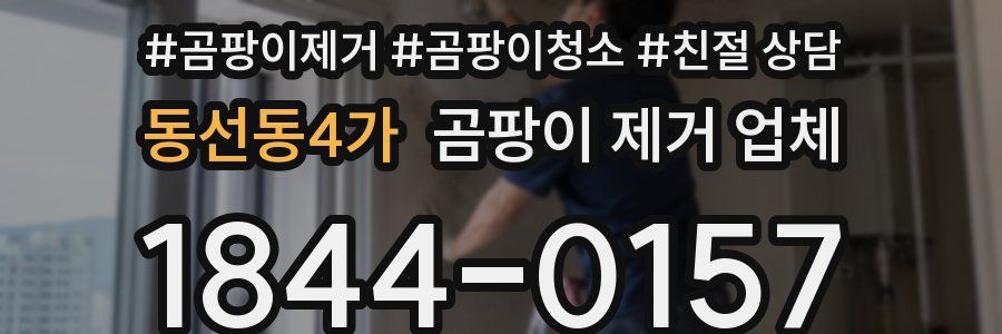 동선동4가 곰팡이 제거 업체