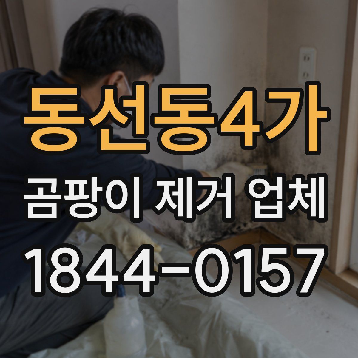동선동4가 곰팡이 제거 업체