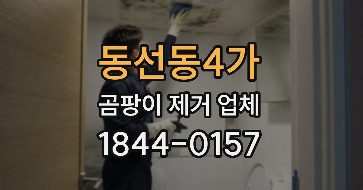 동선동4가 곰팡이 제거 업체