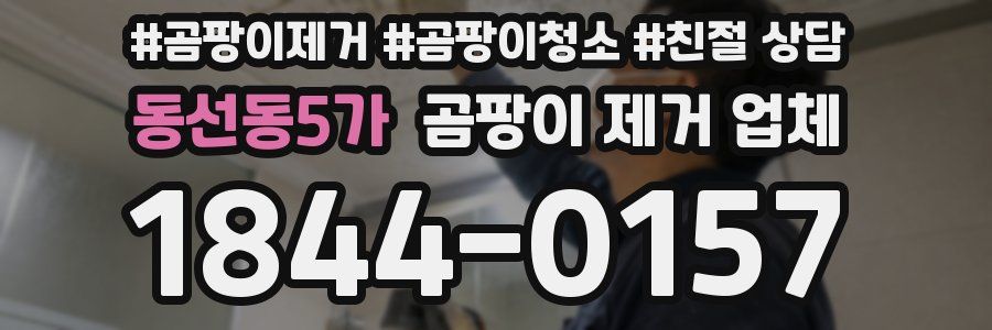 동선동5가 곰팡이 제거 업체