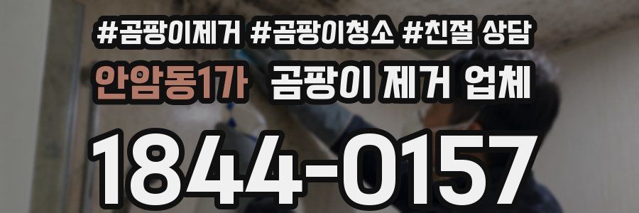 안암동1가 곰팡이 제거 업체