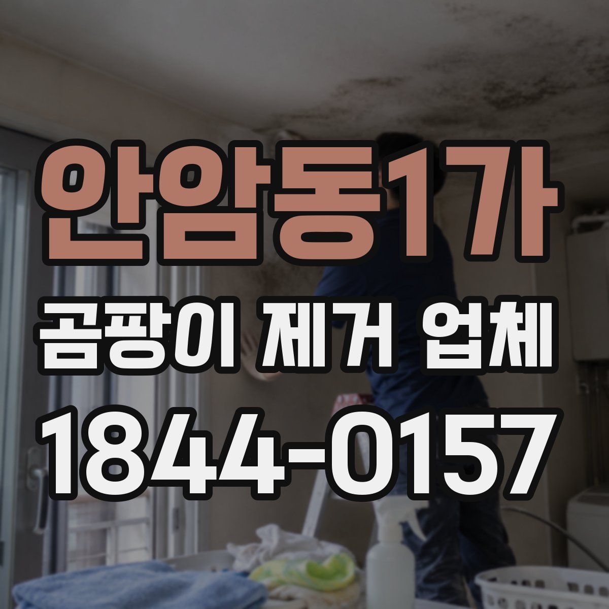 안암동1가 곰팡이 제거 업체