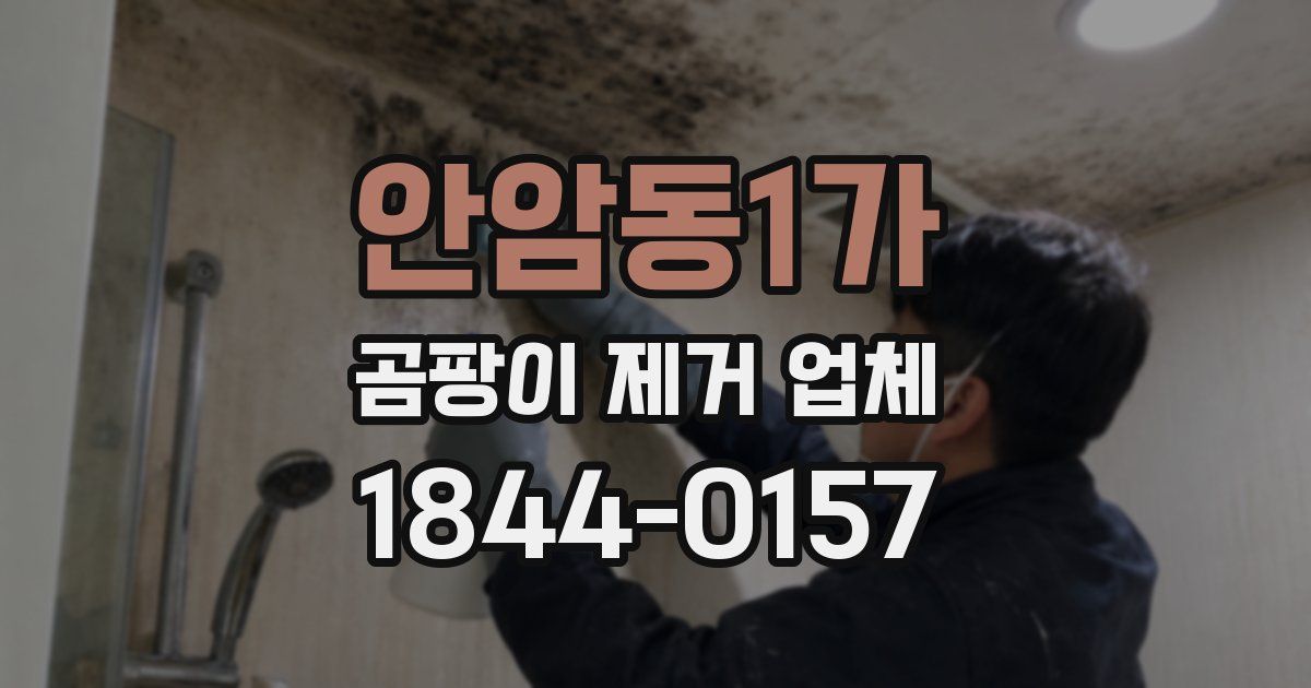 안암동1가 곰팡이 제거 업체