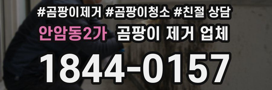 안암동2가 곰팡이 제거 업체
