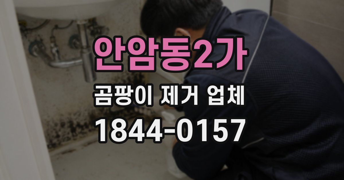 안암동2가 곰팡이 제거 업체