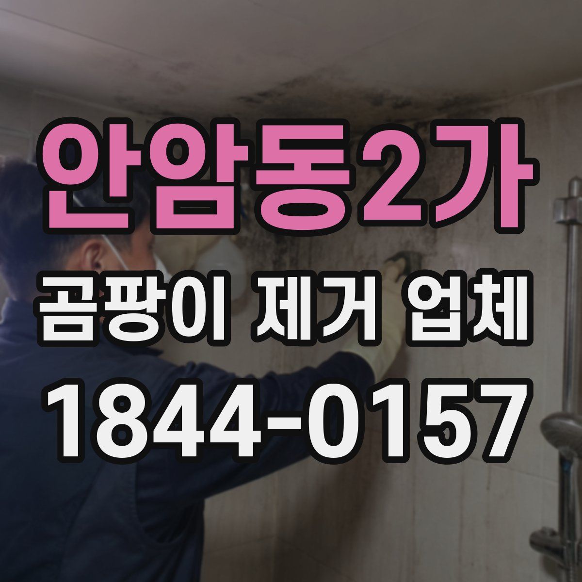 안암동2가 곰팡이 제거 업체