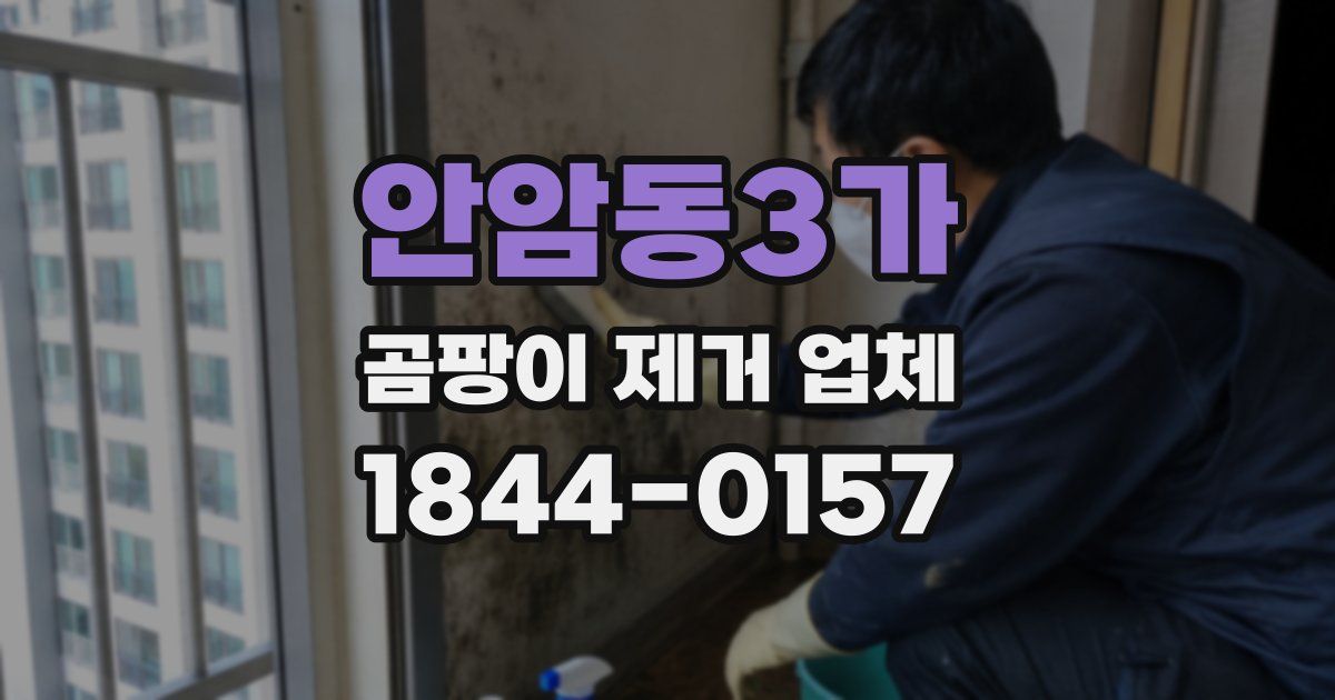 안암동3가 곰팡이 제거 업체