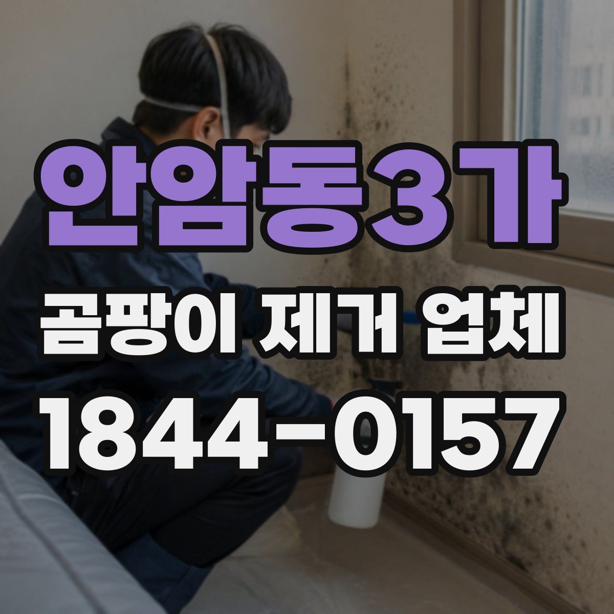 안암동3가 곰팡이 제거 업체