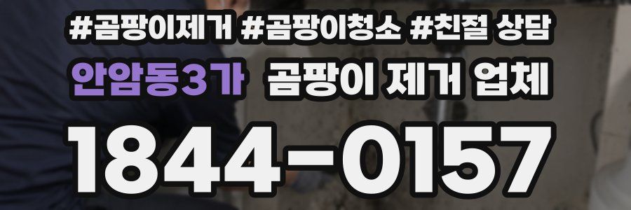 안암동3가 곰팡이 제거 업체