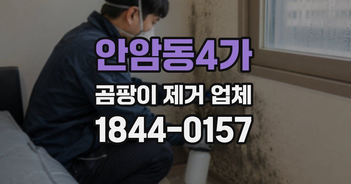안암동4가 곰팡이 제거 업체