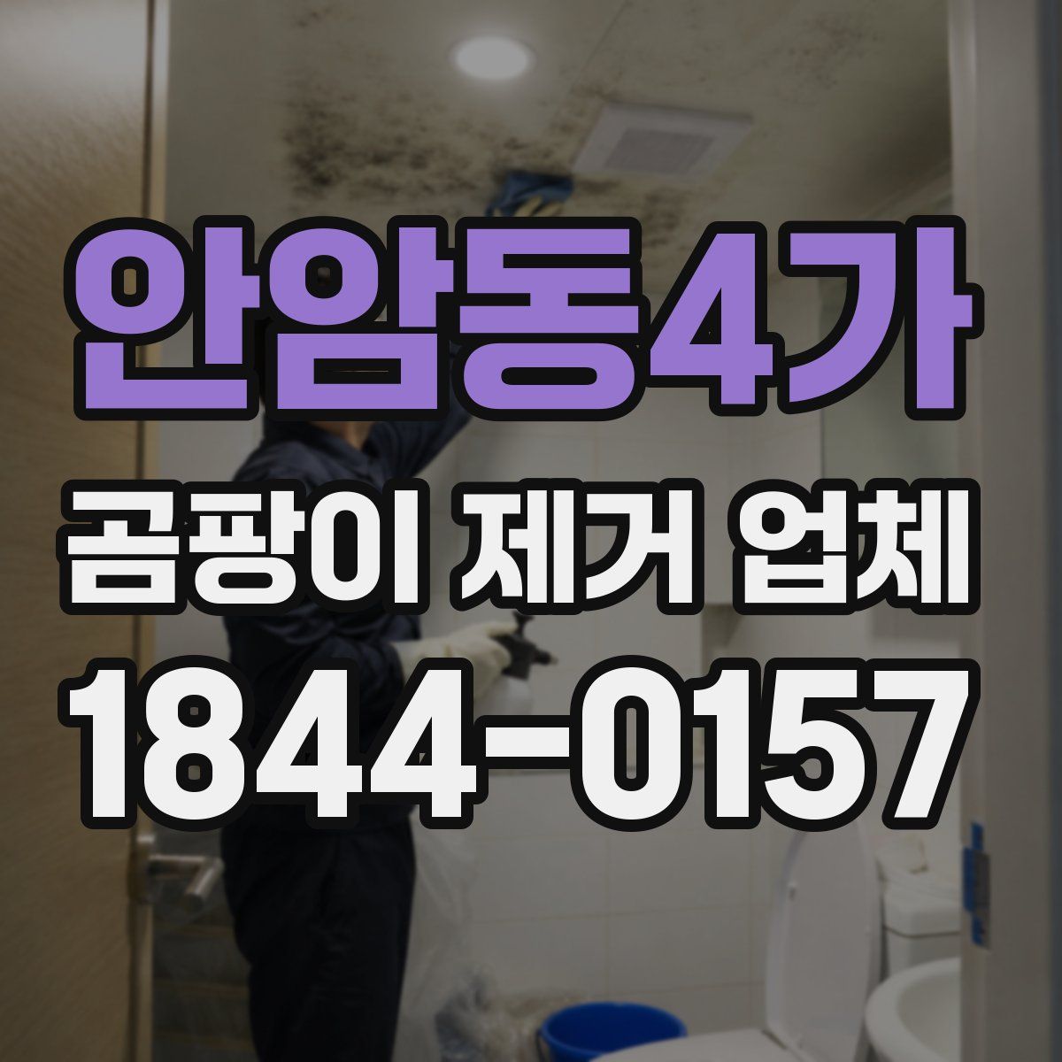 안암동4가 곰팡이 제거 업체