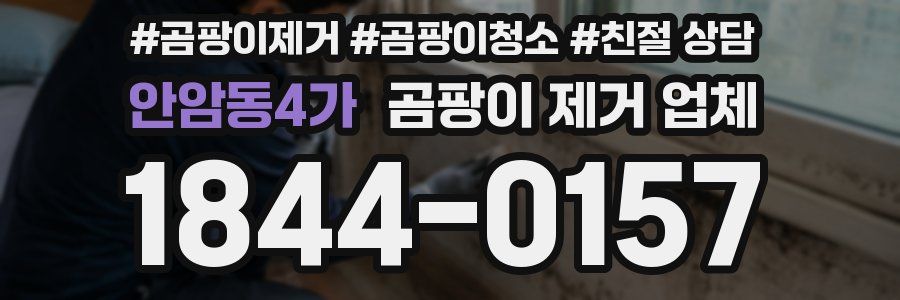 안암동4가 곰팡이 제거 업체