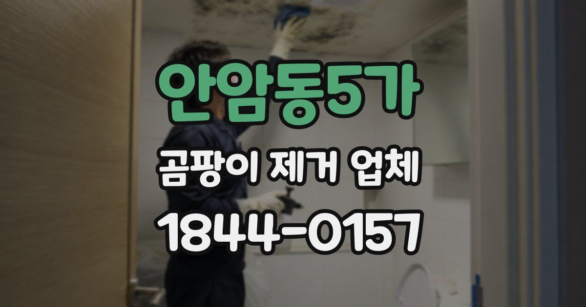 안암동5가 곰팡이 제거 업체