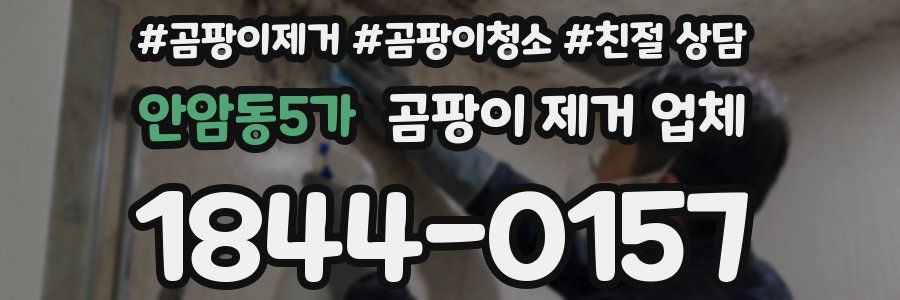 안암동5가 곰팡이 제거 업체