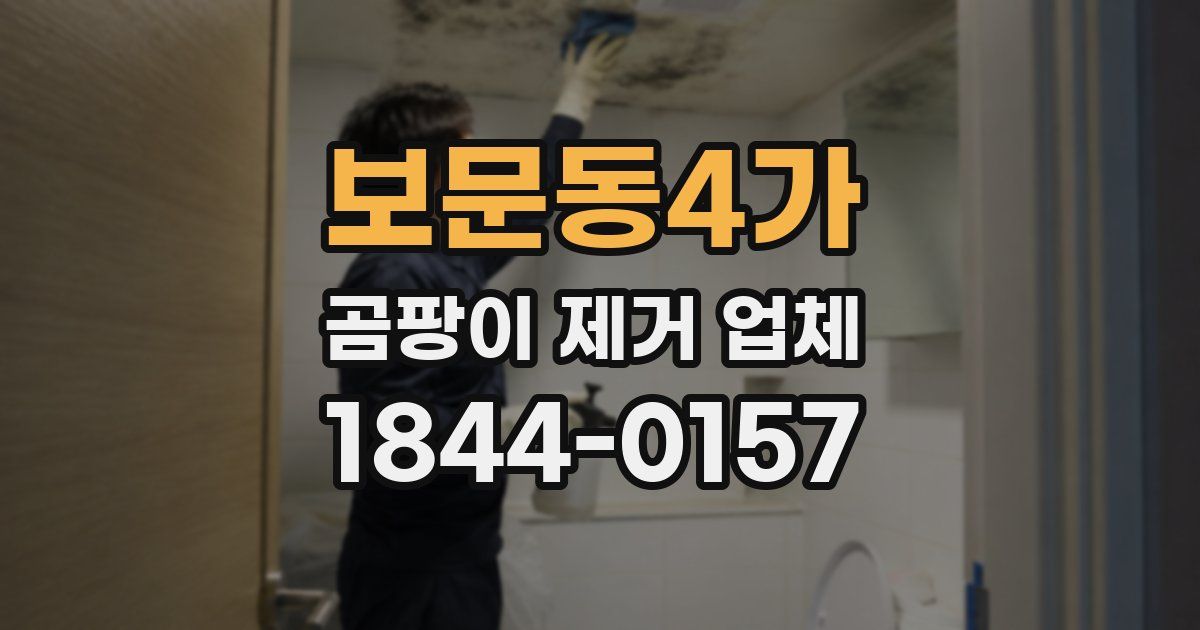 보문동4가 곰팡이 제거 업체