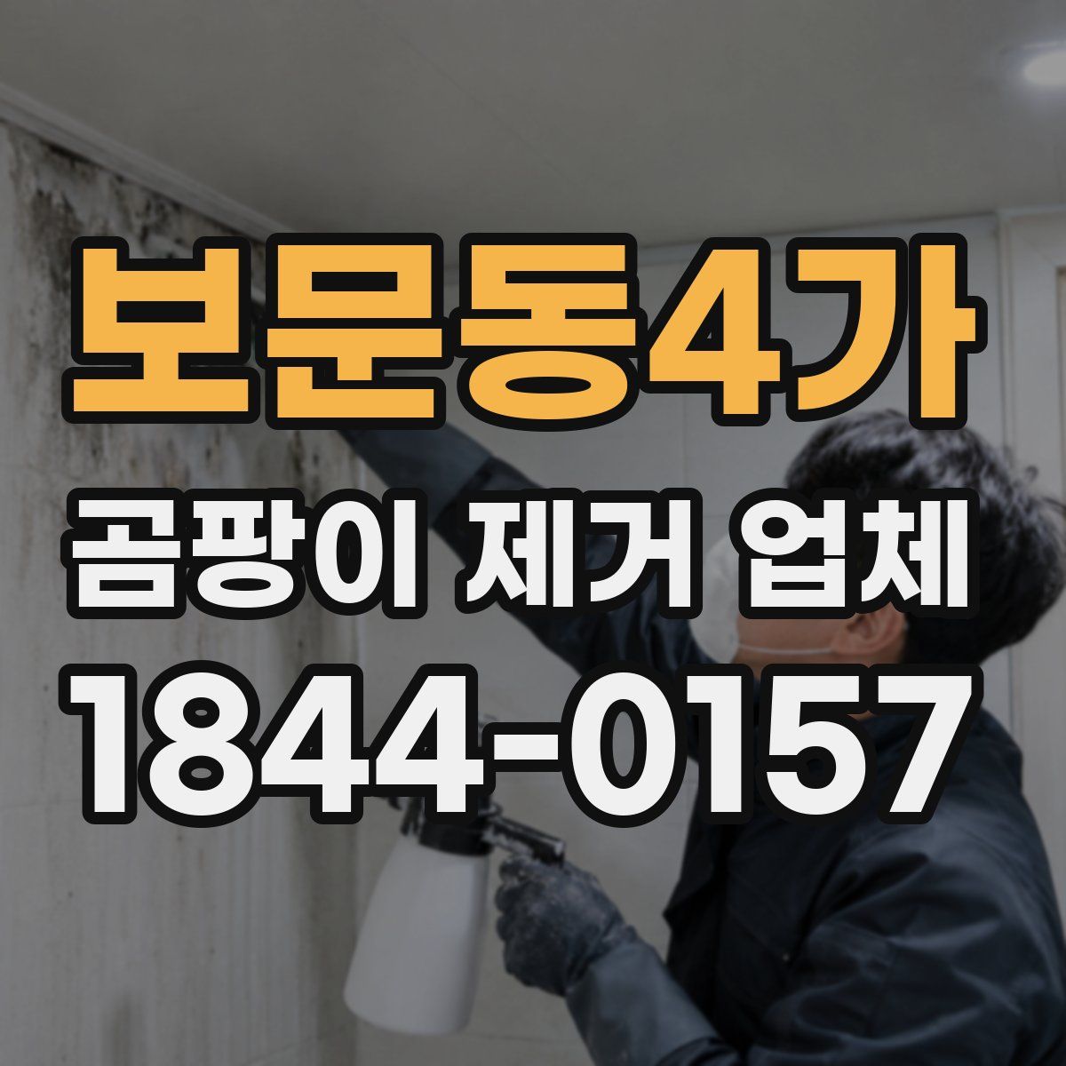 보문동4가 곰팡이 제거 업체