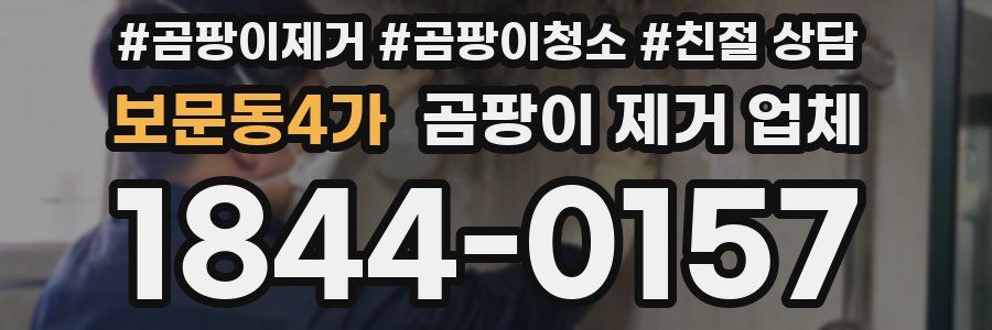 보문동4가 곰팡이 제거 업체