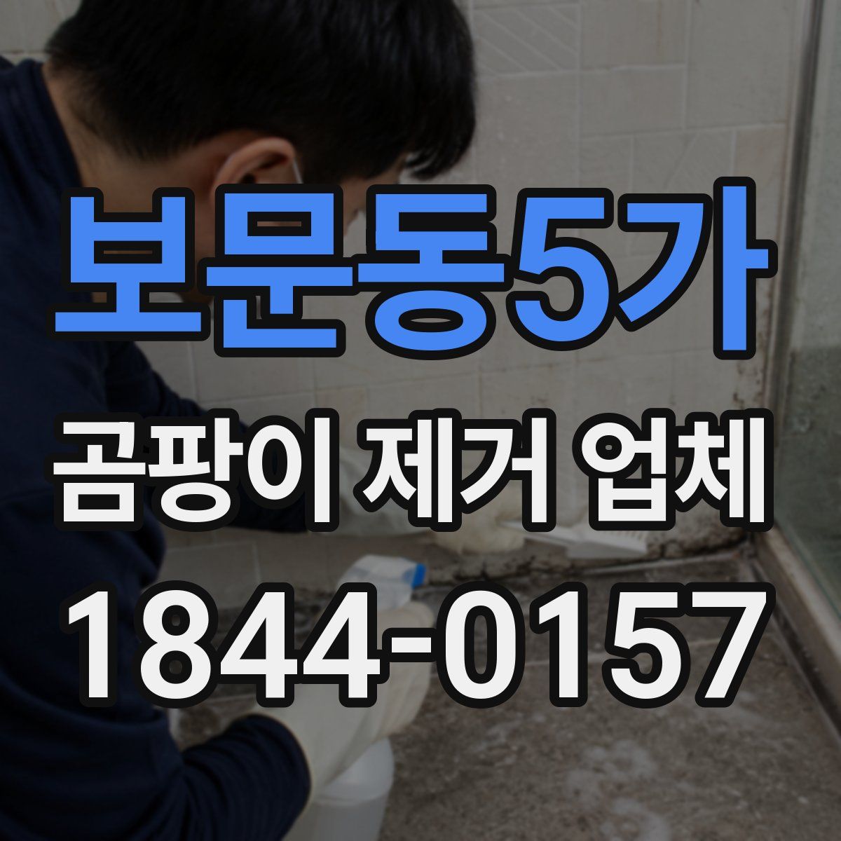 보문동5가 곰팡이 제거 업체